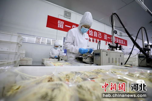 科技賦能產業升級 邢臺隆堯探索食品強縣新路徑